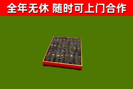殷都回收海参